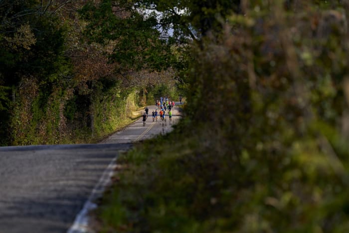 Big Dog's Backyard Ultra runners
